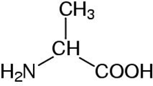 Alanine - chemical structure depiction